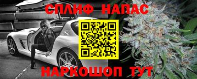 сатива Малоярославец