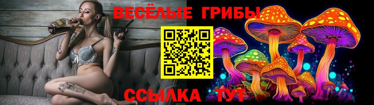 Торжок  где купить наркотик  Вход с VPN  Псилоцибиновые грибы MAGIC MUSHROOMS 